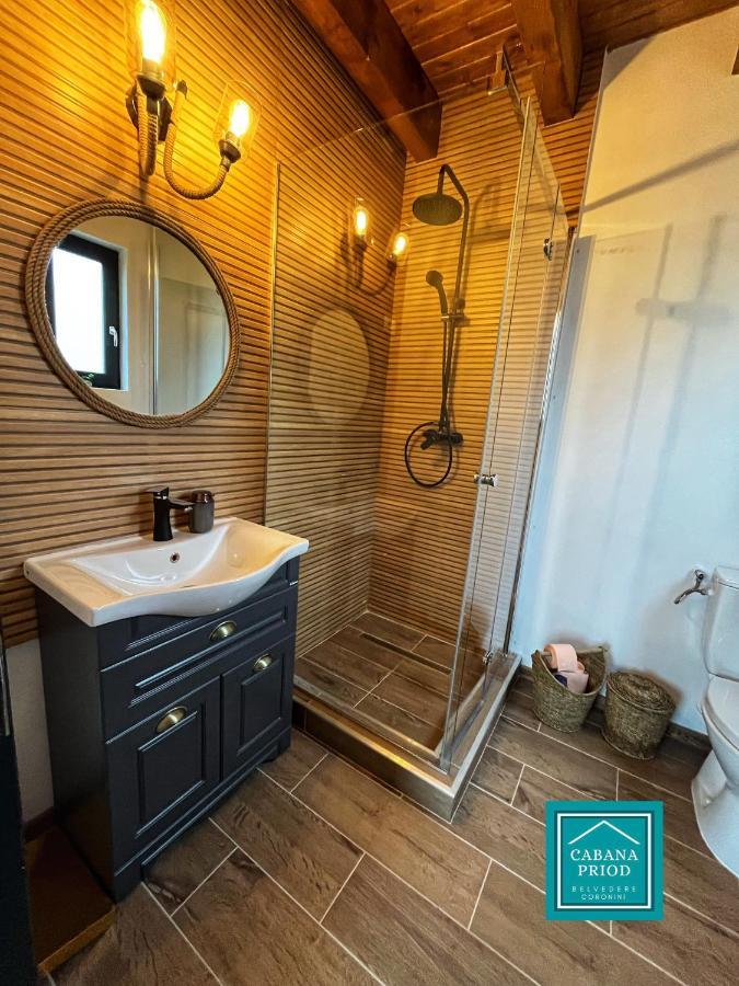 Cabana Priod Coronini Pescari Eksteriør bilde