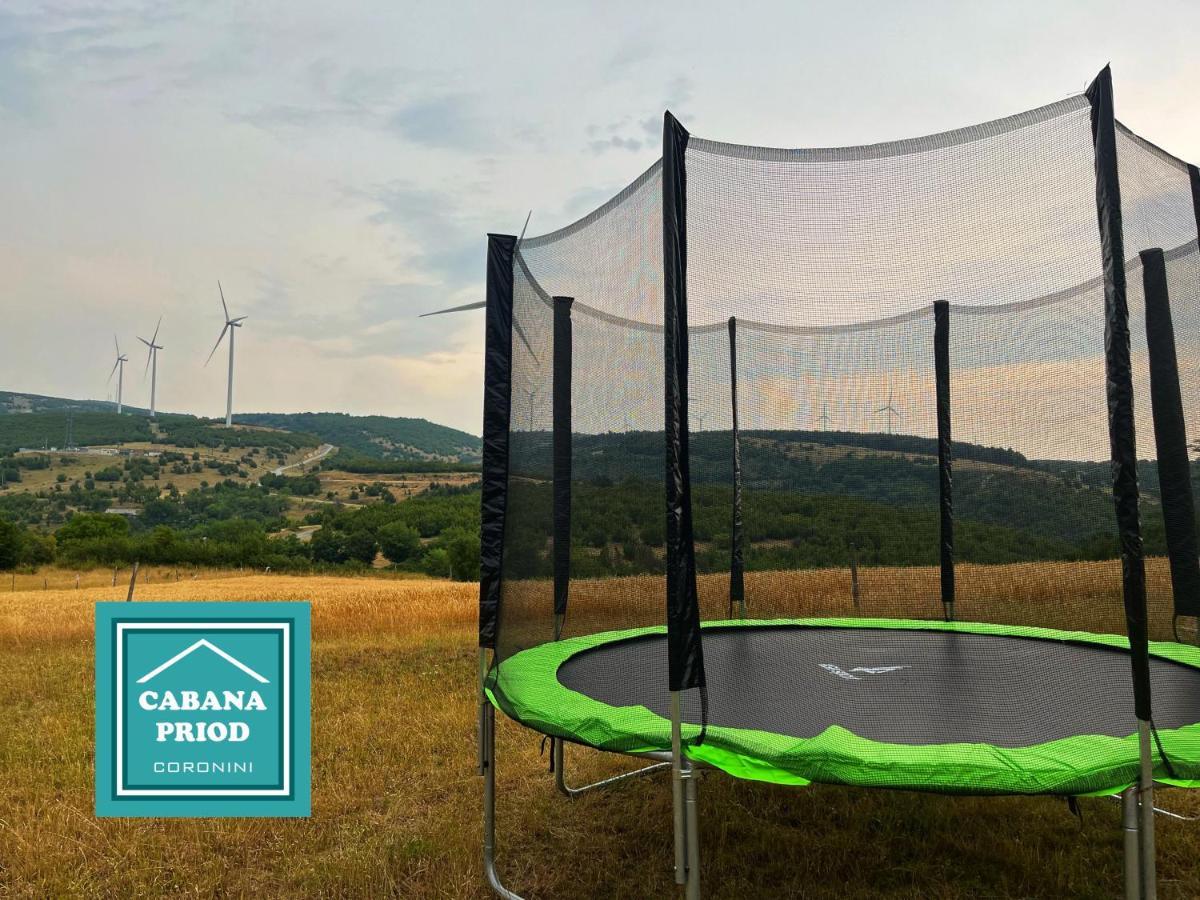 Cabana Priod Coronini Pescari Eksteriør bilde